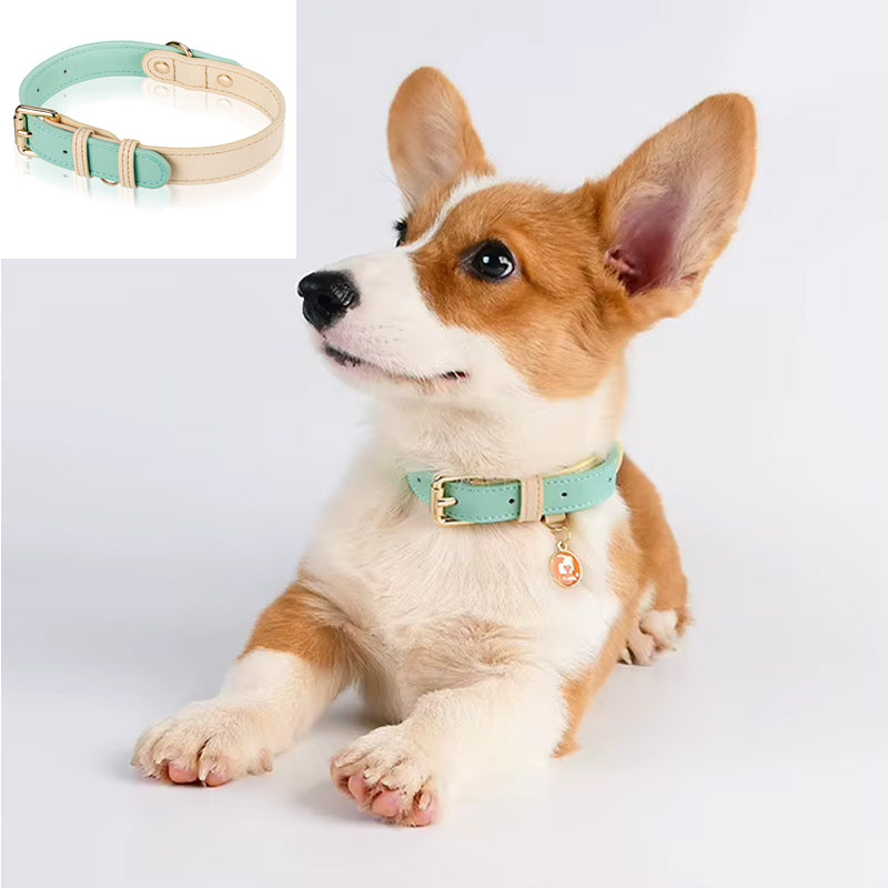 S M L Dog Collar, Leather Dog Collar, For Small, Medium, And Large Dogs, Basic Collar, Adjustable Pet Collar