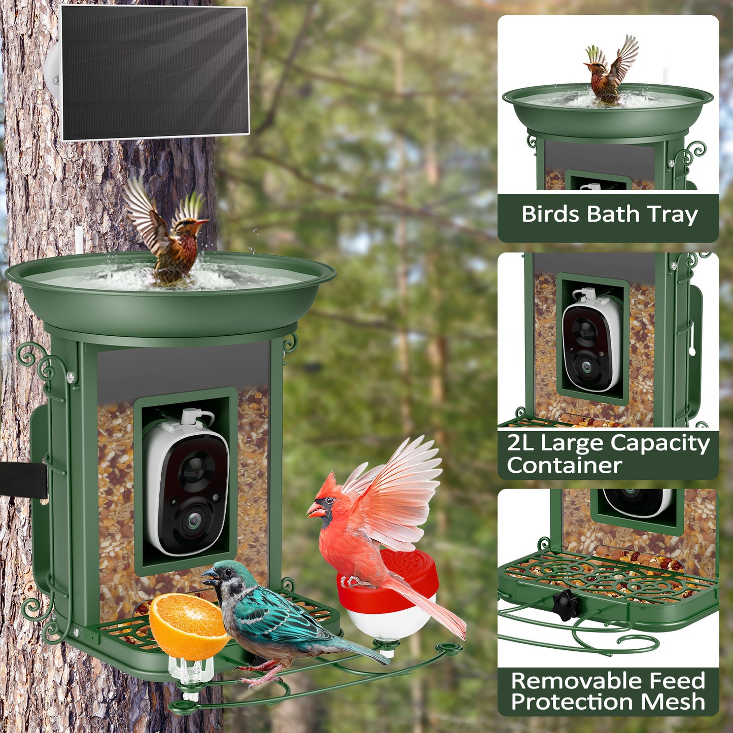 AI-powered Solar-powered Smart Bird Feeder