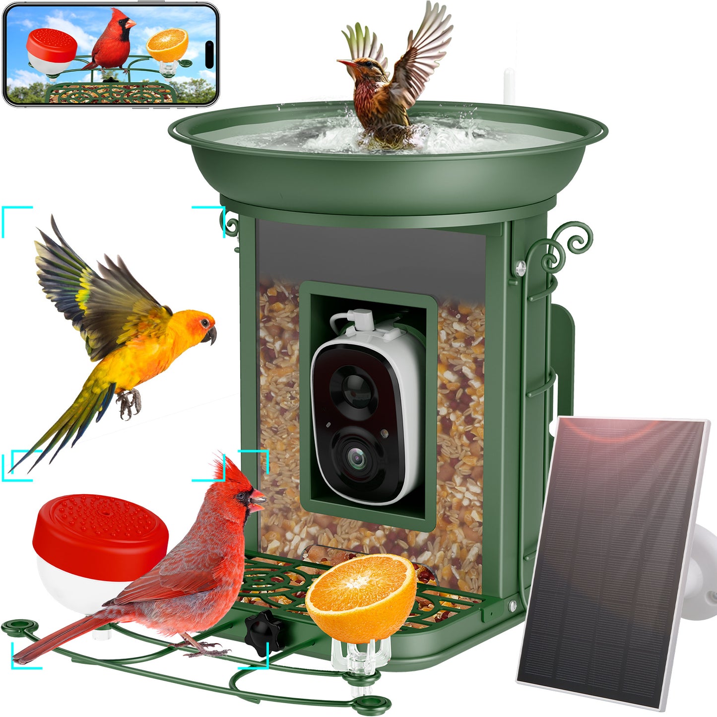 AI-powered Solar-powered Smart Bird Feeder