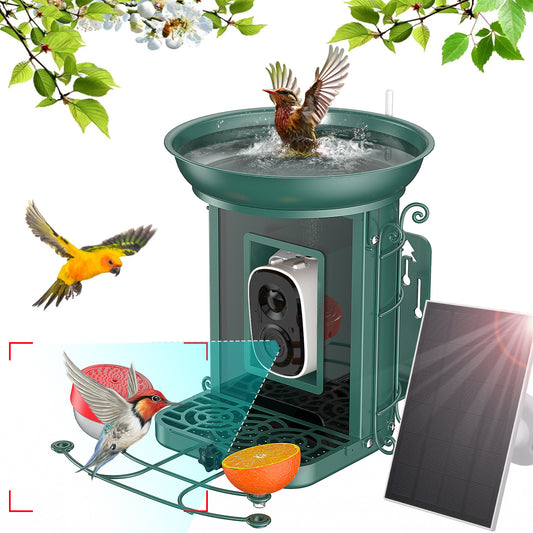 AI-powered Solar-powered Smart Bird Feeder